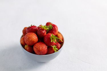 Similar image 21037500