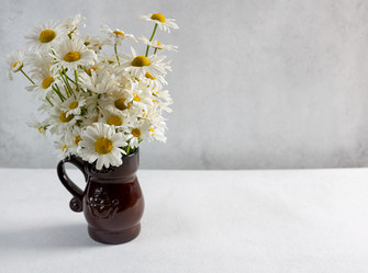 Similar image 21037501