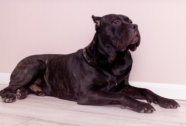 Similar image 21037507