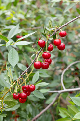 Similar image 21037508