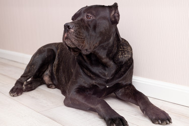 Similar image 21037517