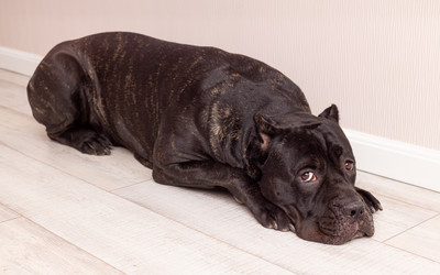 Similar image 21037288