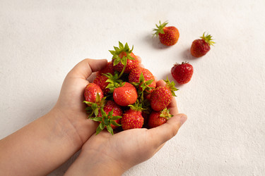 Similar image 21037290