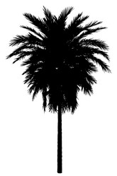 Similar image 21024972