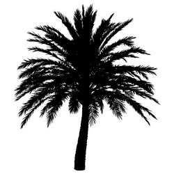 Similar image 21025050