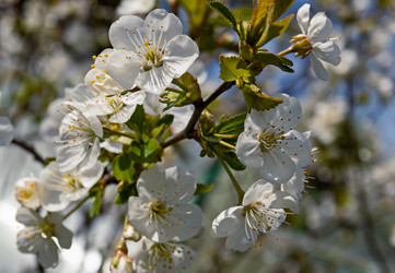 Similar image 21055434