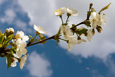 Similar image 21055437