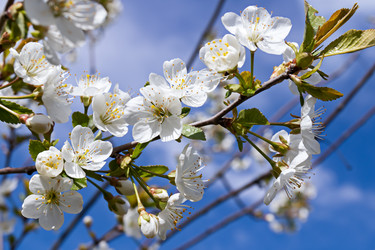 Similar image 21055438