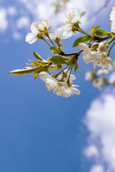 Similar image 21055439