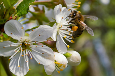 Similar image 21055440