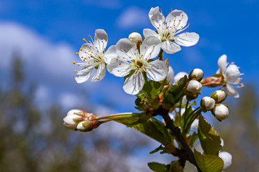 Similar image 21055441