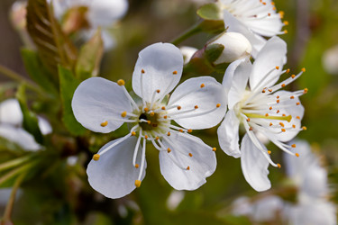 Similar image 21055442