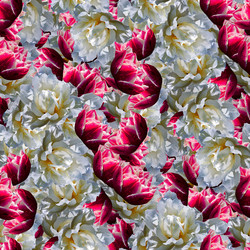 Similar image 21055446