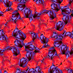 Similar image 21055449