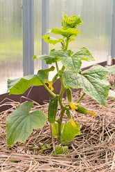 Similar image 21055453