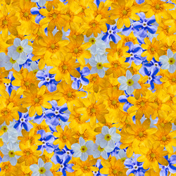 Similar image 21055455