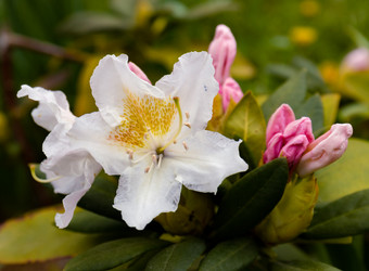 Similar image 21055459