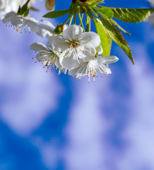 Similar image 21055461