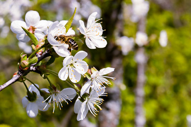 Similar image 21055464