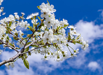 Similar image 21055465