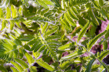 Similar image 21055467