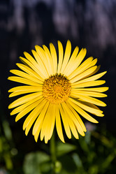 Similar image 21055470