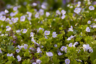 Similar image 21055471