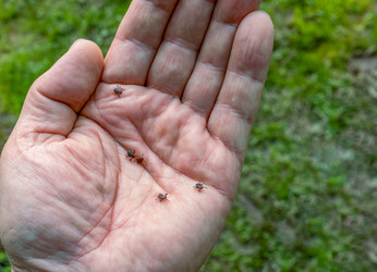 Similar image 21055472