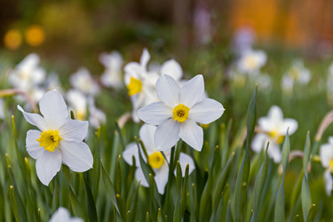 Similar image 21055477