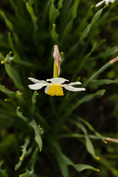 Similar image 21055478