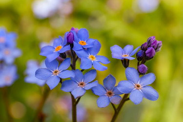 Similar image 21055480