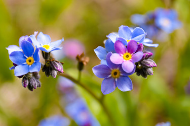 Similar image 21055481