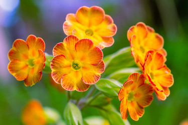 Similar image 21055482