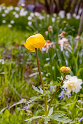 Similar image 21055483