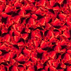 Similar image 21055484