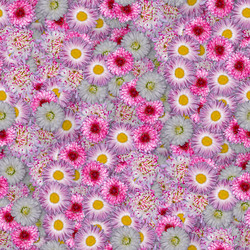 Similar image 21055485