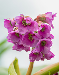 Similar image 21055486