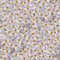 Similar image 21055490