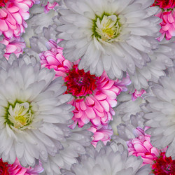 Similar image 21055492