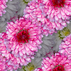 Similar image 21071648