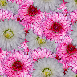 Similar image 21071649