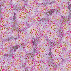 Similar image 21071650