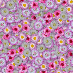 Similar image 21071651