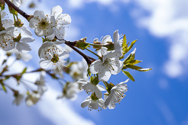 Similar image 21071652