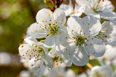 Similar image 21071653