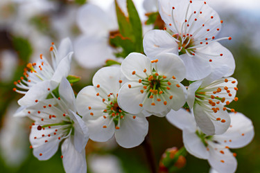 Similar image 21071654