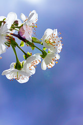 Similar image 21071655