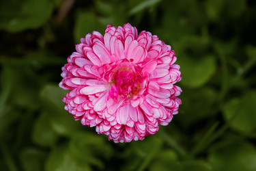 Similar image 21071657