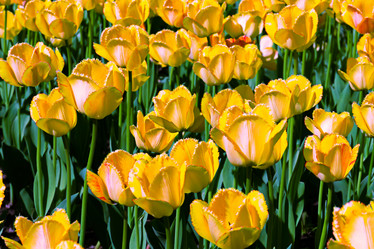 Similar image 21071660