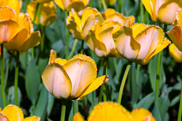 Similar image 21071661